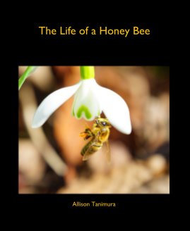 The Life of a Honey Bee book cover