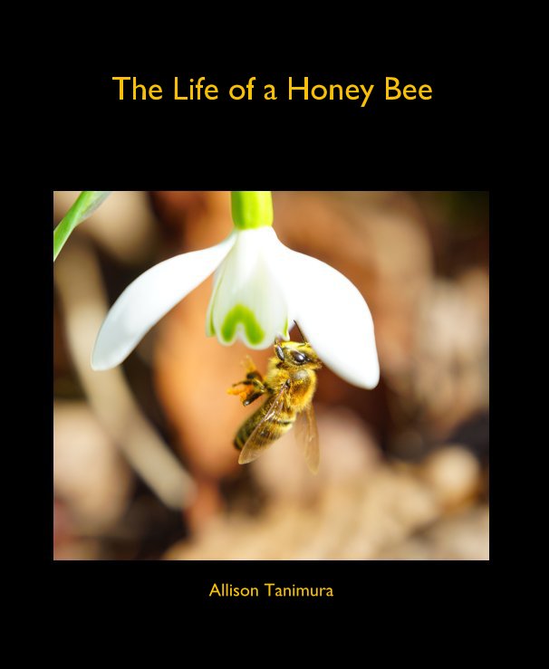 View The Life of a Honey Bee by Allison Tanimura