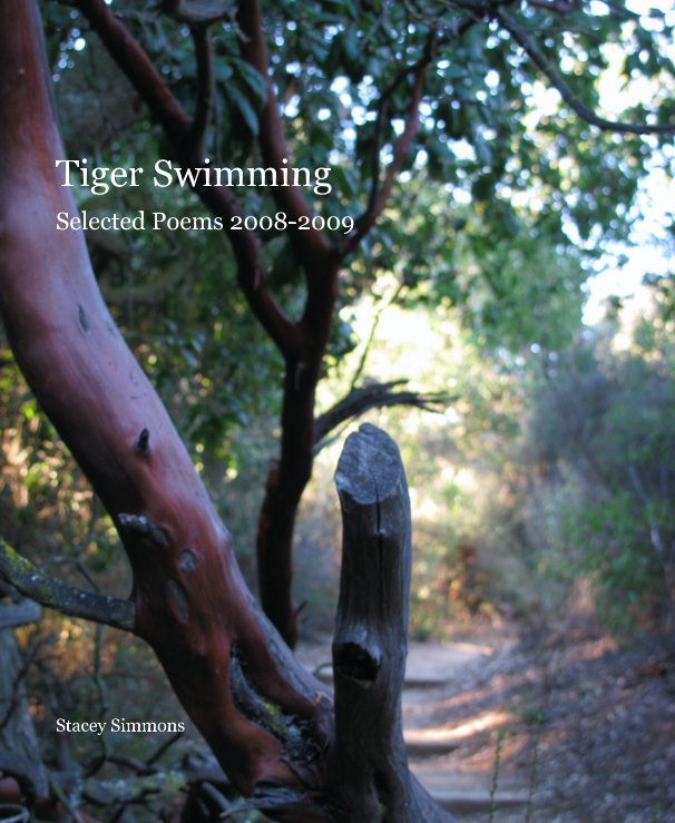 View Tiger Swimming by Stacey Simmons