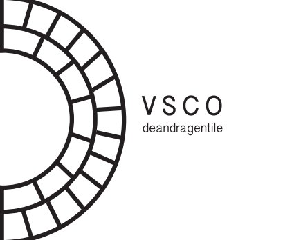 VSCO book cover