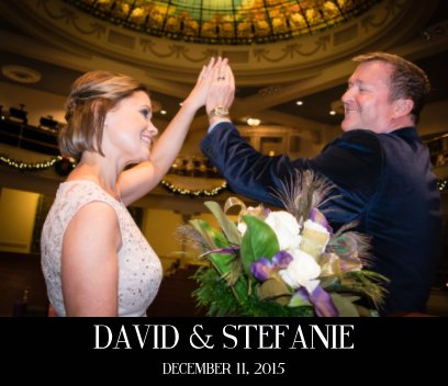 David and Stefanie Sullivan book cover
