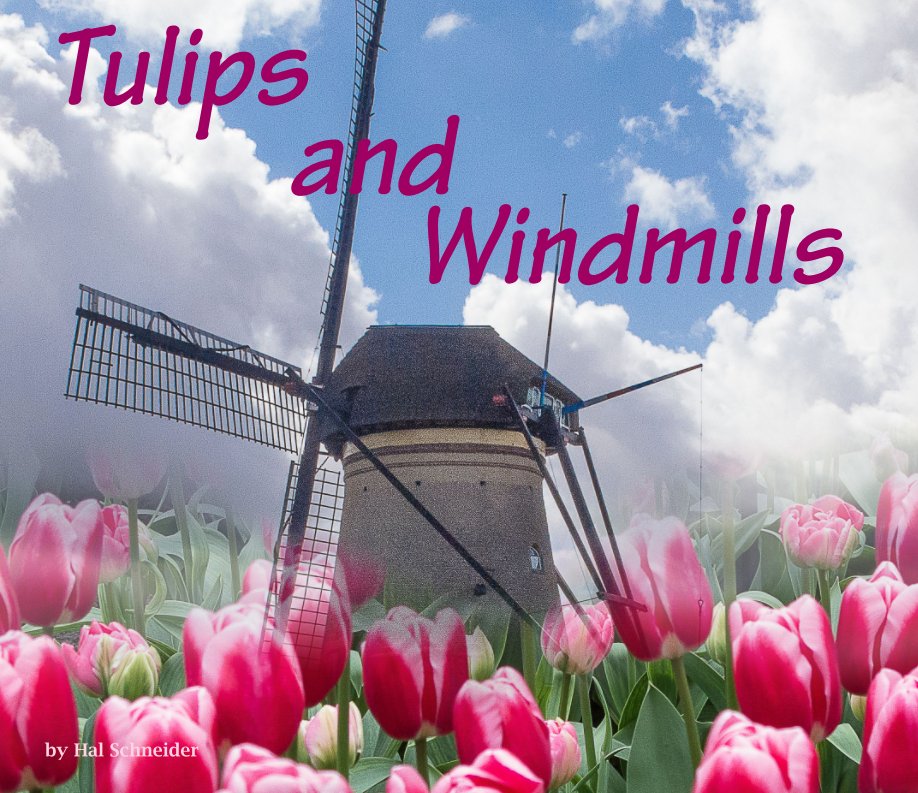 View Tulips and Windmills by Hal Schneider
