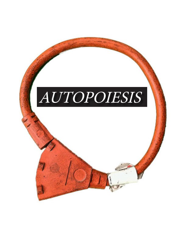 View Autopoiesis by Intermedia Artists at Herberger Institute of the Arts