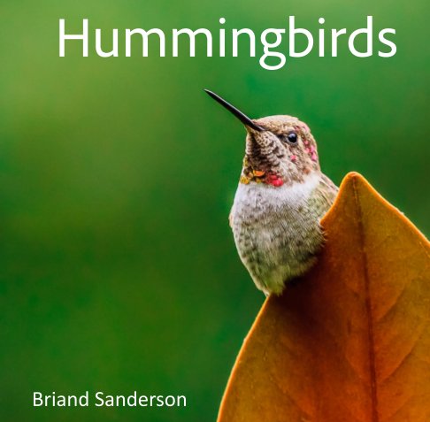 View Hummingbirds by Briand Sanderson