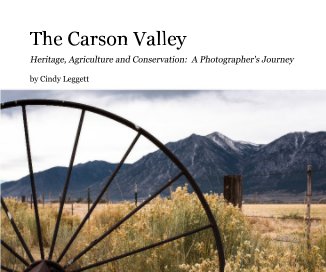 The Carson Valley book cover
