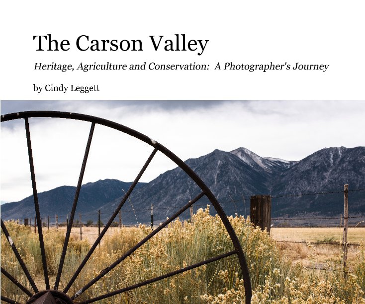 View The Carson Valley by Cindy Leggett