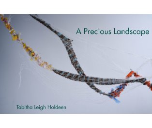 A Precious Landscape book cover