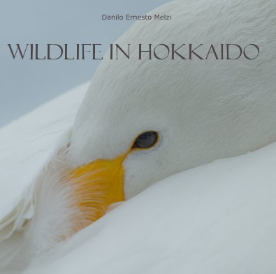Wildlife in Hokkaido book cover