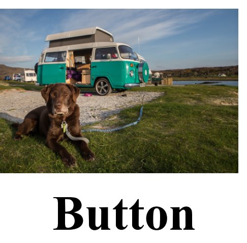 View Button by Hazel Mason FRPS, James Frost FRPS