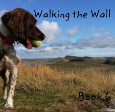 Walking the Wall book cover