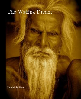 The Waking Dream book cover