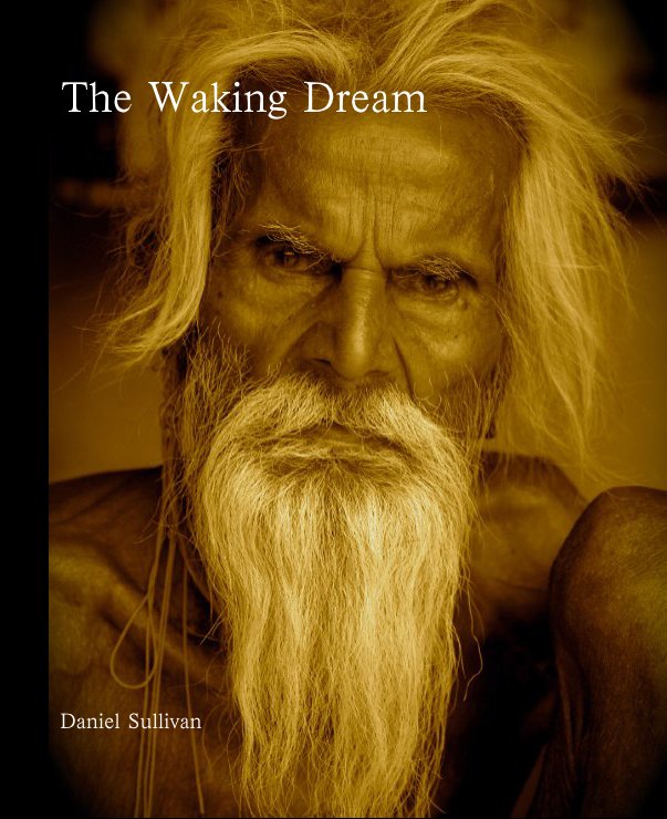 View The Waking Dream by Daniel Sullivan