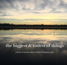 the biggest & tiniest of things book cover