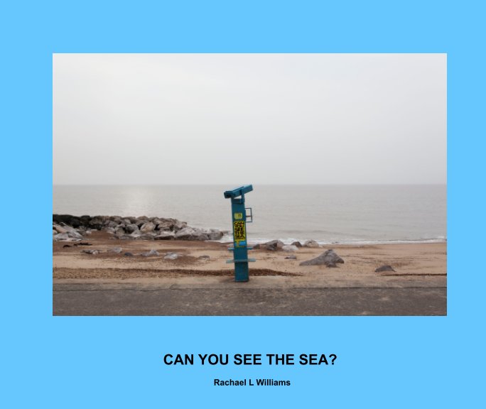 CAN YOU SEE THE SEA? nach Rachael L Williams anzeigen