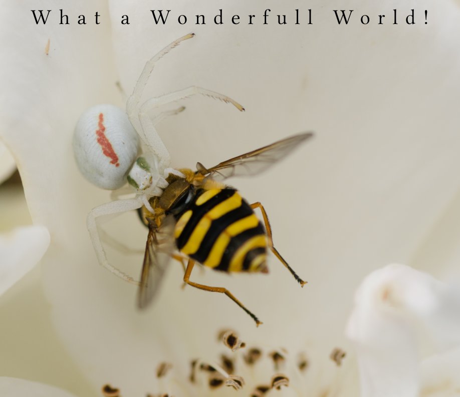 Ver What a Wonderfull World ! por Jacques Faoder