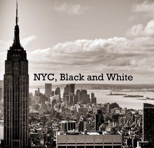 View NYC, Black and White by Vinxent