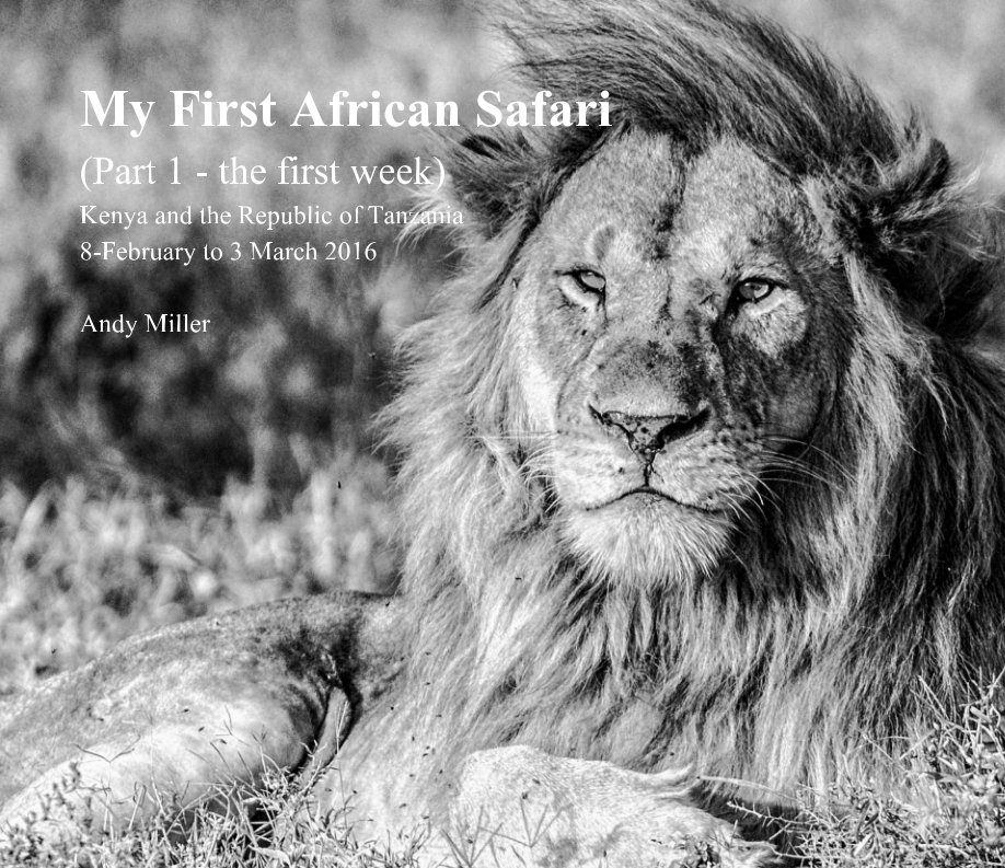 Ver A few shots from My First African Safari (8 February to 4 March 2016) por Andy Miller