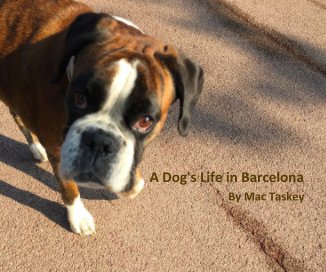 A Dog's Life in Barcelona By Mac Taskey book cover