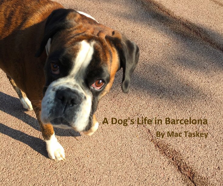 Ver A Dog's Life in Barcelona By Mac Taskey por Mac Taskey