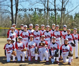 2015-16 Tiger Baseball book cover