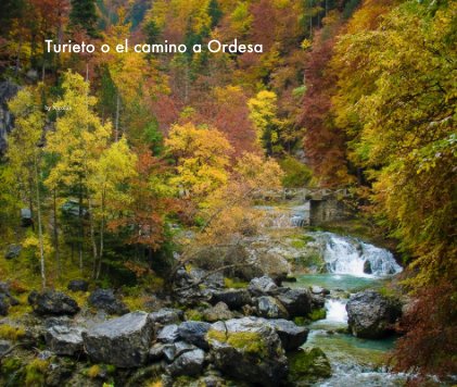 Turieto o el camino a Ordesa book cover