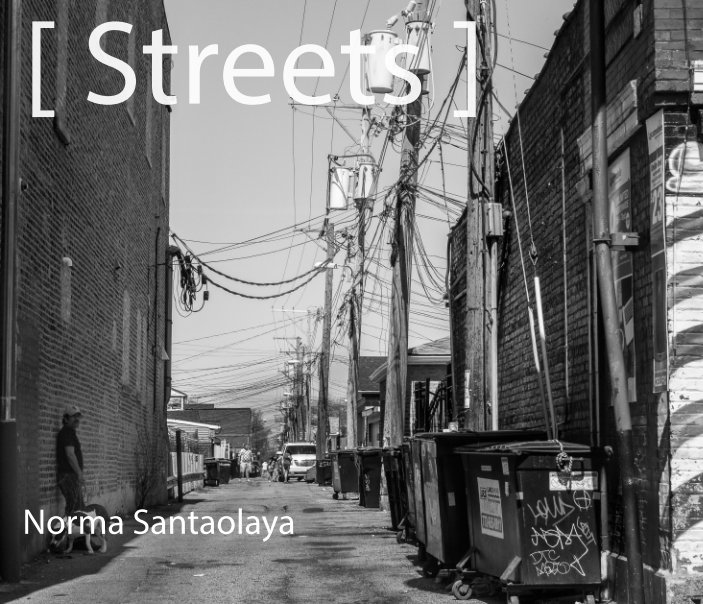 View Streets by Norma Santaolaya