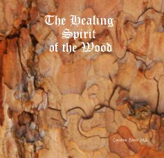The Healing Spirit of the Wood book cover