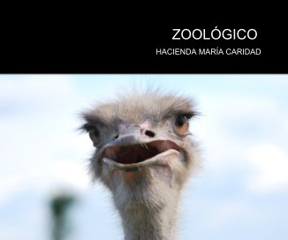 ZOOLOGICO book cover
