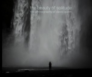 the beauty of solitude (soft cover) book cover