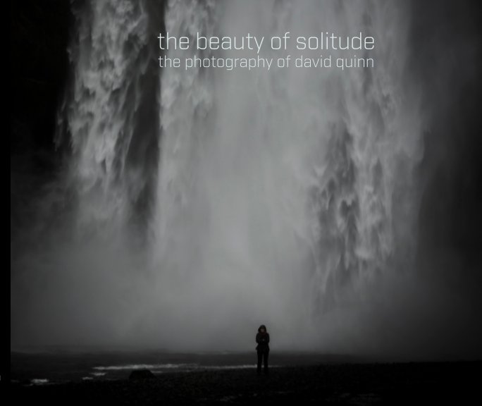 View the beauty of solitude (soft cover) by David Quinn