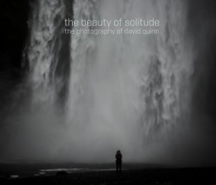 the beauty of solitude book cover