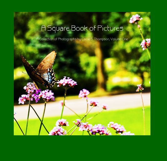 View A Square Book of Pictures A Collection of Photographs by Carrie S. Thompson, Volume One by Carrie S. Thompson