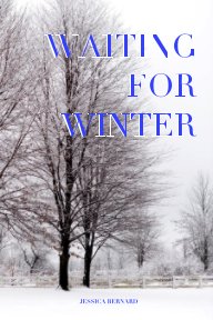Waiting For Winter book cover