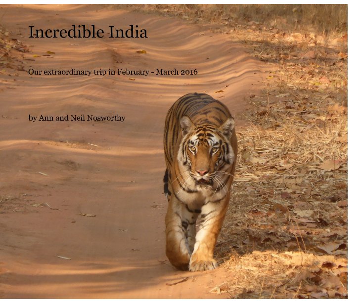 View Incredible India by Ann and Neil Nosworthy