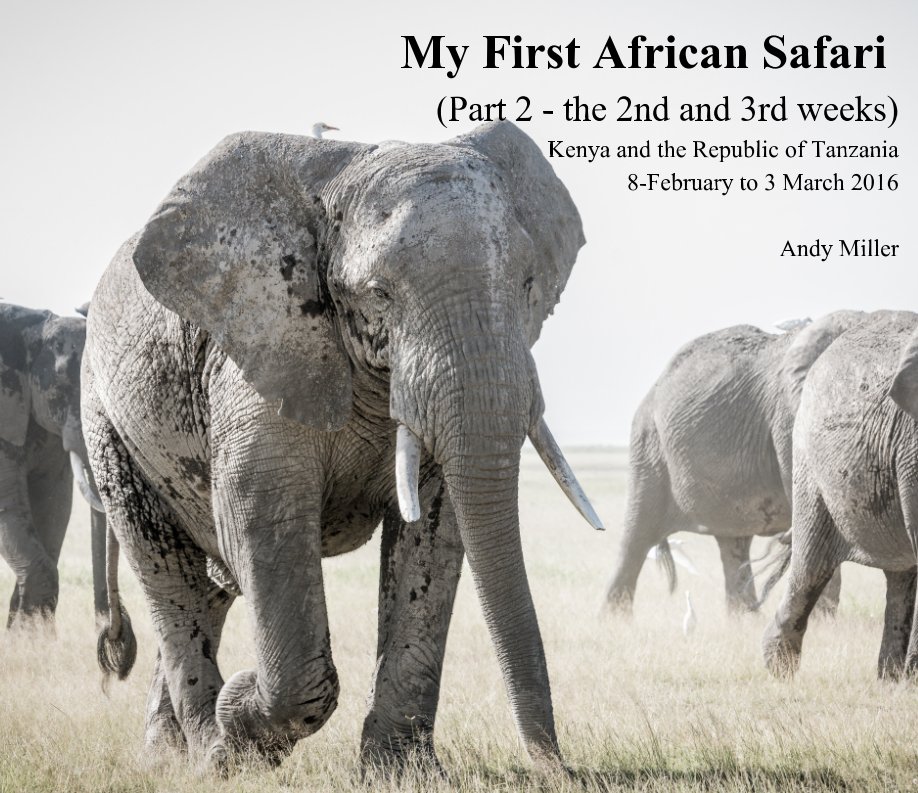 View A few shots from My First African Safari (8 February to 4 March 2016) by Andy Miller