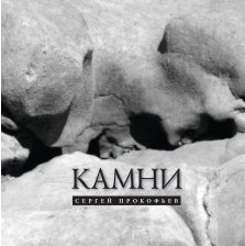 Kamni book cover