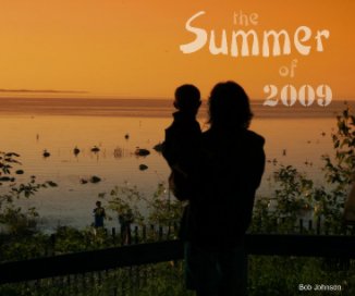 Summer of 2009 book cover