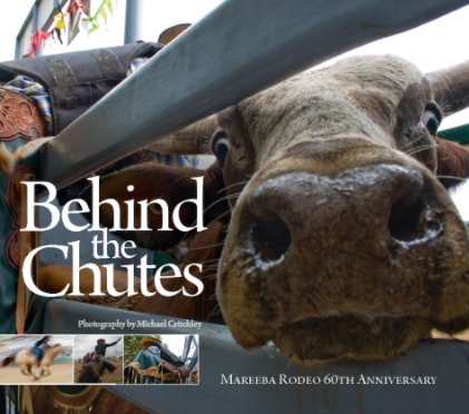 Behind the Chutes book cover