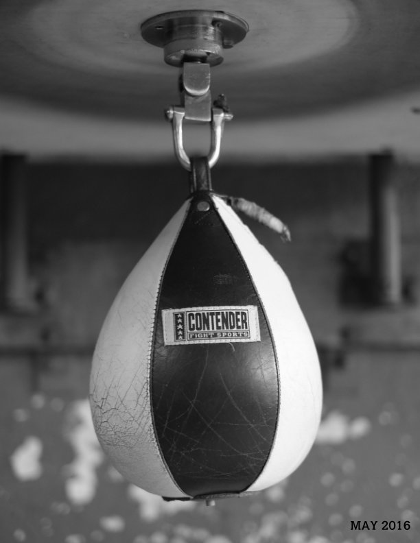 Ver Gleason's Boxing Gym | Knockout | por Ellen Marszalkowski