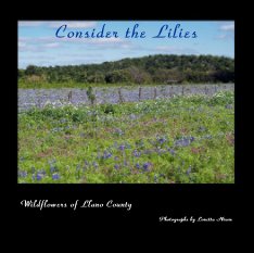 Consider the Lilies book cover