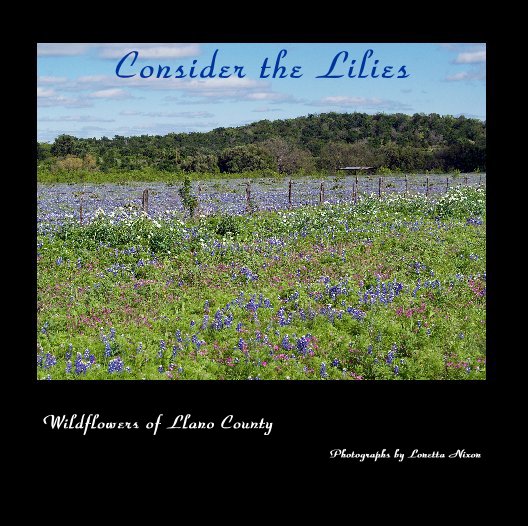 View Consider the Lilies by Photographs by Lonetta Nixon