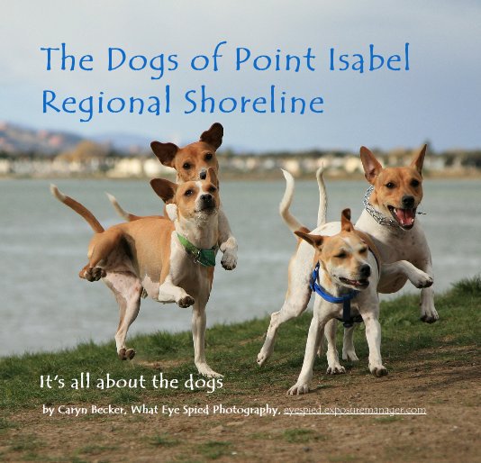 Ver The Dogs of Point Isabel Regional Shoreline por Caryn Becker - What Eye Spied Photography