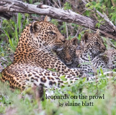 leopards on the prowl book cover