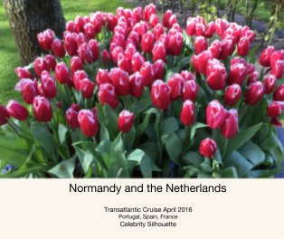 Normandy and the Netherlands book cover