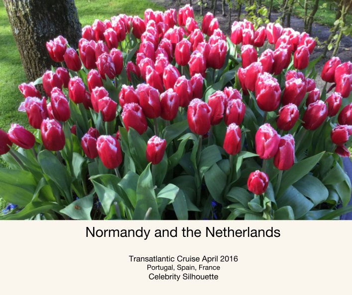 View Normandy and the Netherlands by Maude Rittman