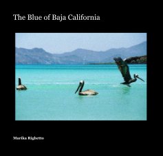 The Blue of Baja California book cover