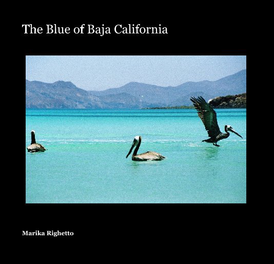 View The Blue of Baja California by Marika Righetto