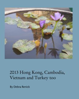 2013 Hong Kong, Cambodia, Vietnam and Turkey too book cover