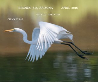 BIRDING S.E. ARIZONA APRIL 2016 book cover
