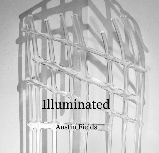 Visualizza Illuminated di Austin Fields